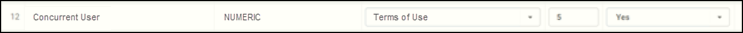 Concurrent User