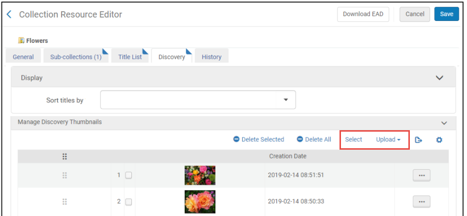 Collection Resource Editor - Discovery Tab