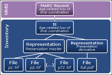 Inventory_Architecture_Digital_Example_Master_and_Derivative_Representations_2