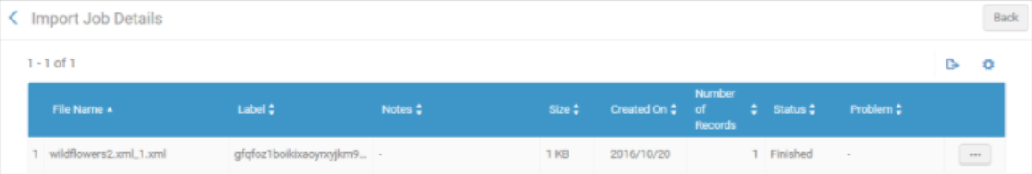 import_job_details_ux.png