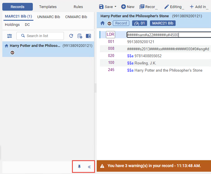 Open and pinned Navigation Pane