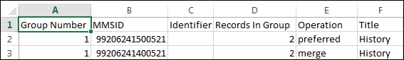 Preview Multiple Matching Duplicate Record Changes