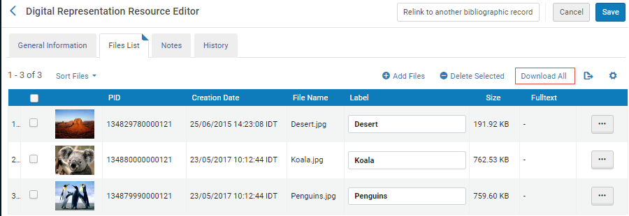 The Download All link displayed on the Digital Representation Resource Editor page.