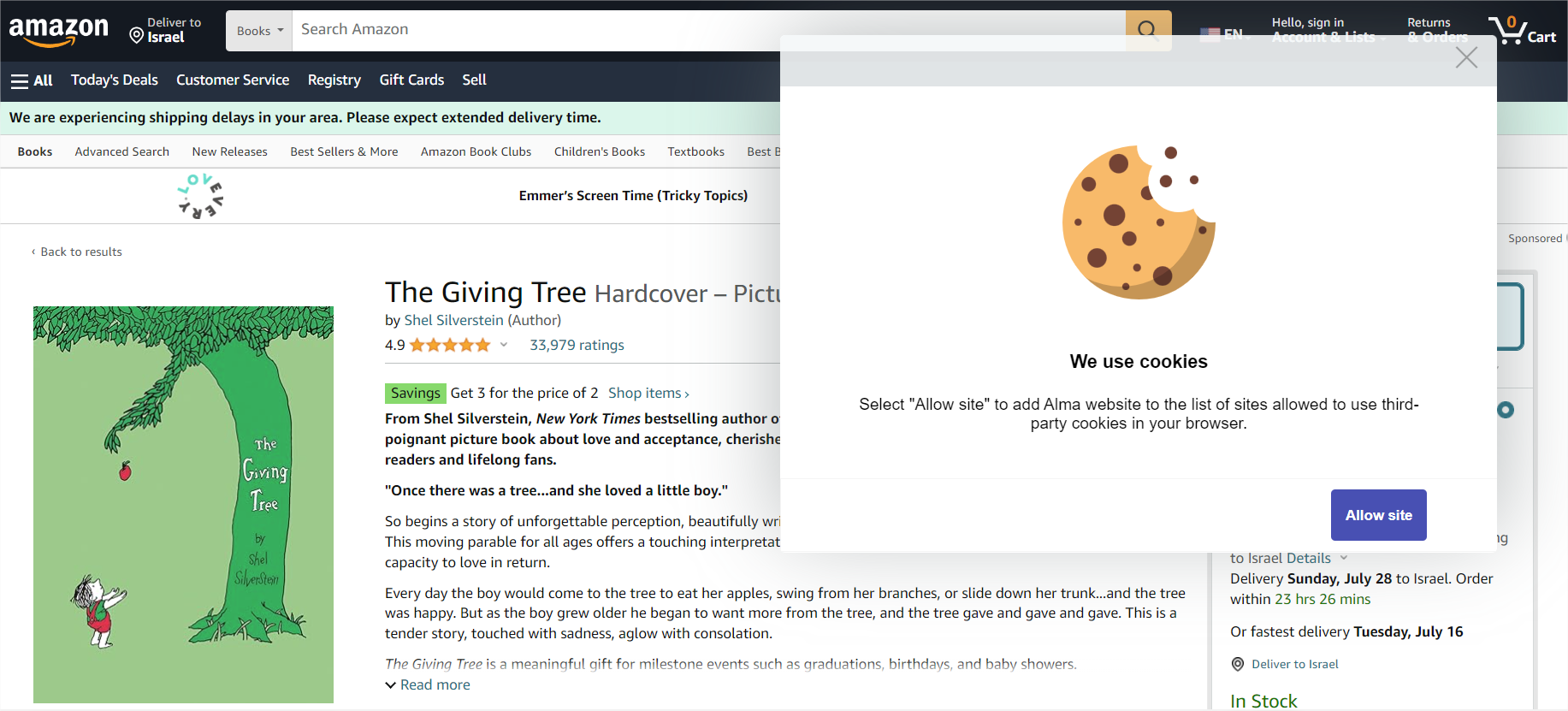 The Allow third party cookies option.