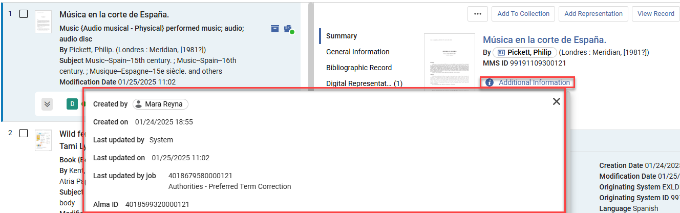 The additional information pane.