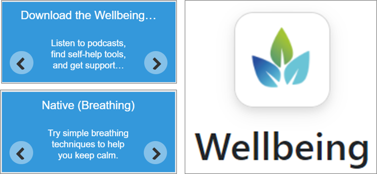 Wellbeing.png