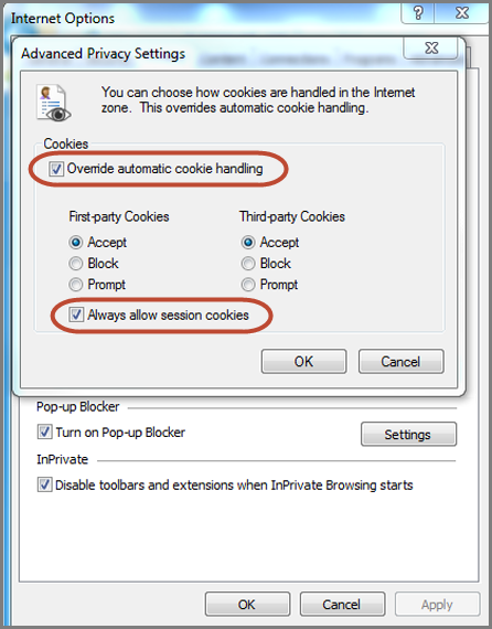 IE 11 Settings