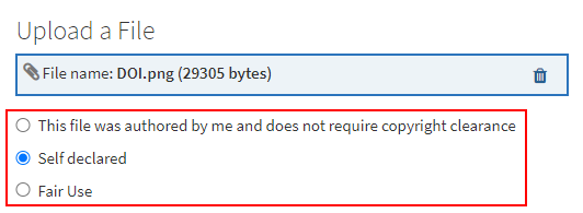 The Upload a File Copyright Options order.
