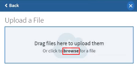 An example of a bold formatted label.