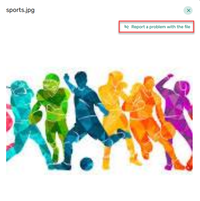 The option to Report a problem with file.