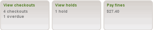 Patron account information buttons