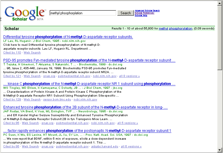Google Scholar results with preferences set