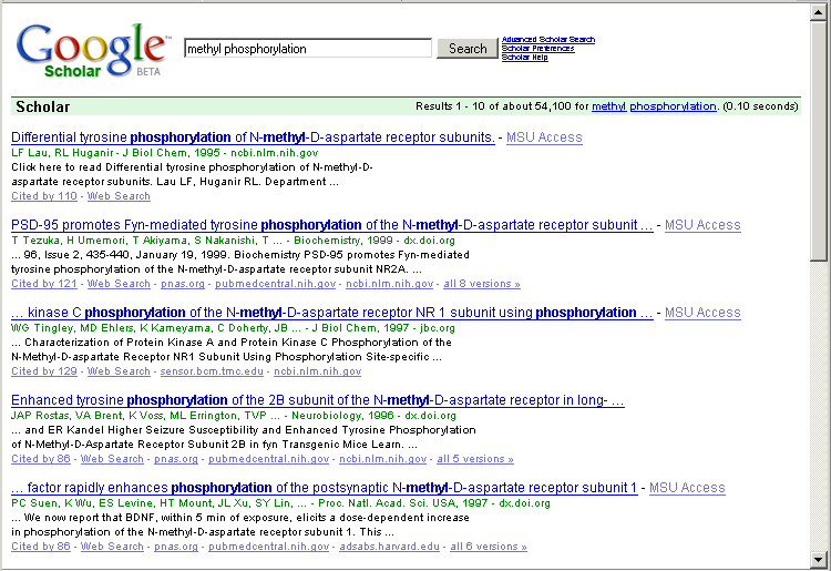 Google Scholar results with preferences set